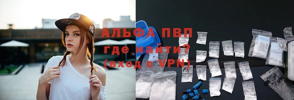 хмурый Бородино