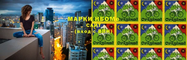 хмурый Бородино
