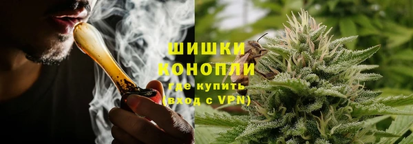 трава Верея