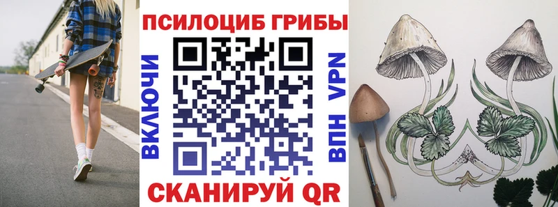 Псилоцибиновые грибы GOLDEN TEACHER  MEGA маркетплейс  Весьегонск 